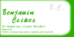 benjamin csipes business card